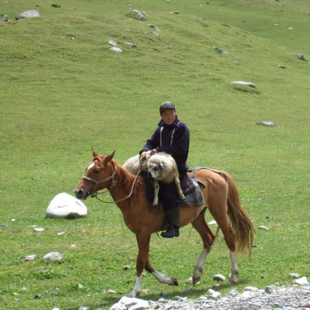 Motorradreisen Kirgistan, Reiten auf einem Pferd
